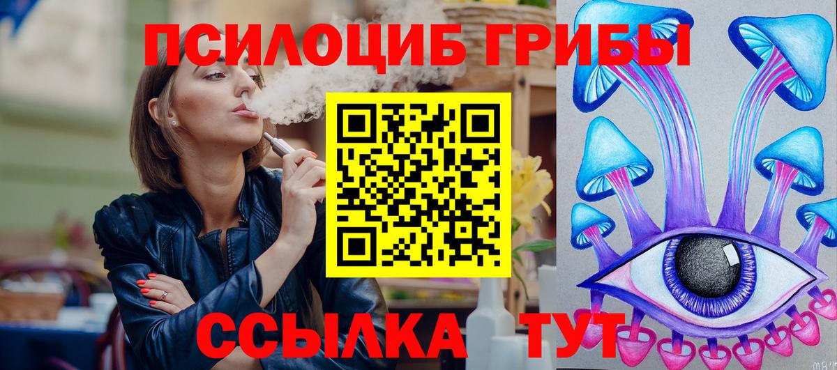 Псилоцибиновые грибы Psilocybine cubensis  продажа наркотиков  Азнакаево  Вход с VPN  Псилоцибиновые грибы прущие грибы 