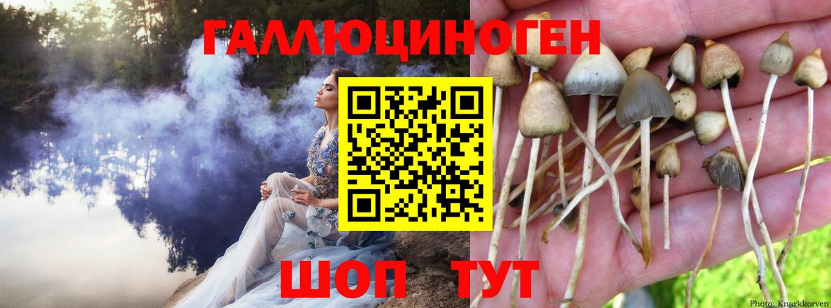 Псилоцибиновые грибы GOLDEN TEACHER Азнакаево
